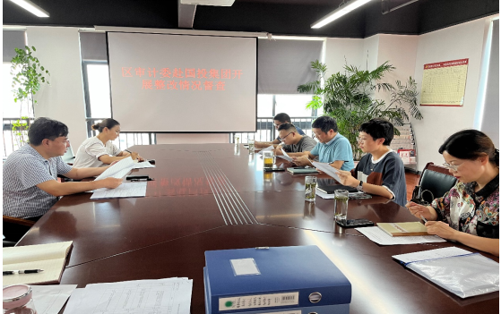 区委审计委到国投集团开展审计整改督查工作